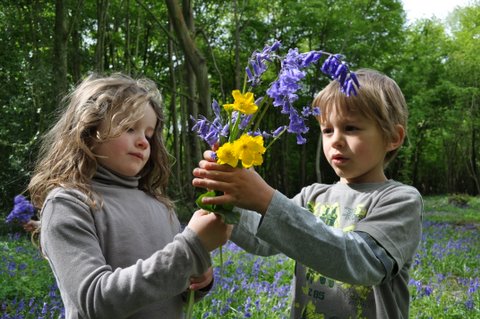 Dernwood Campsite (40 of 207)