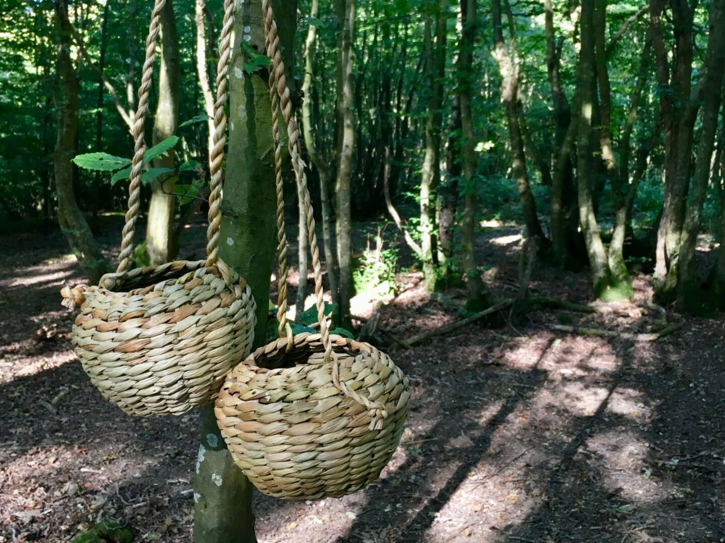 interior-designer-18 Cabin Bedroom