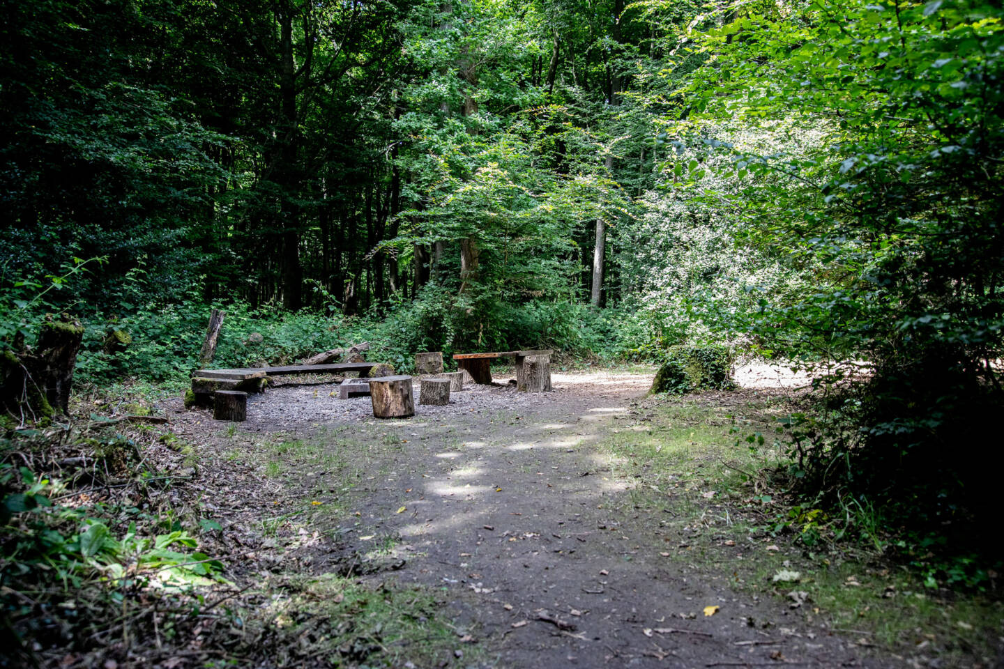 interior-designer-28