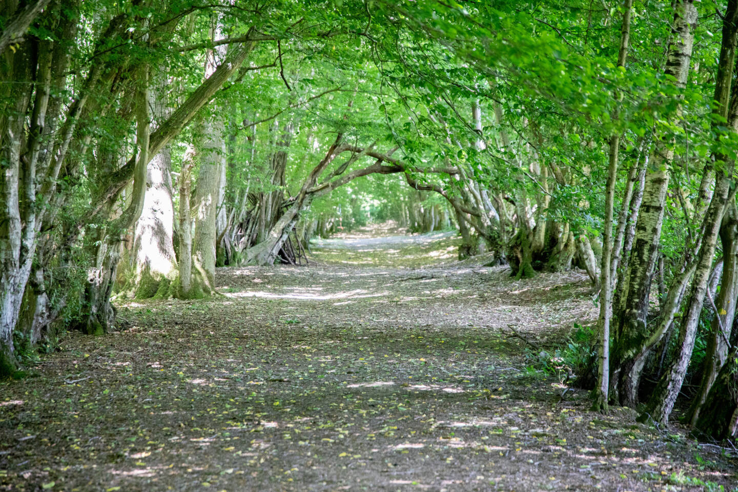 interior-designer-16