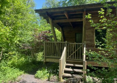 Cabin - view from fire pit