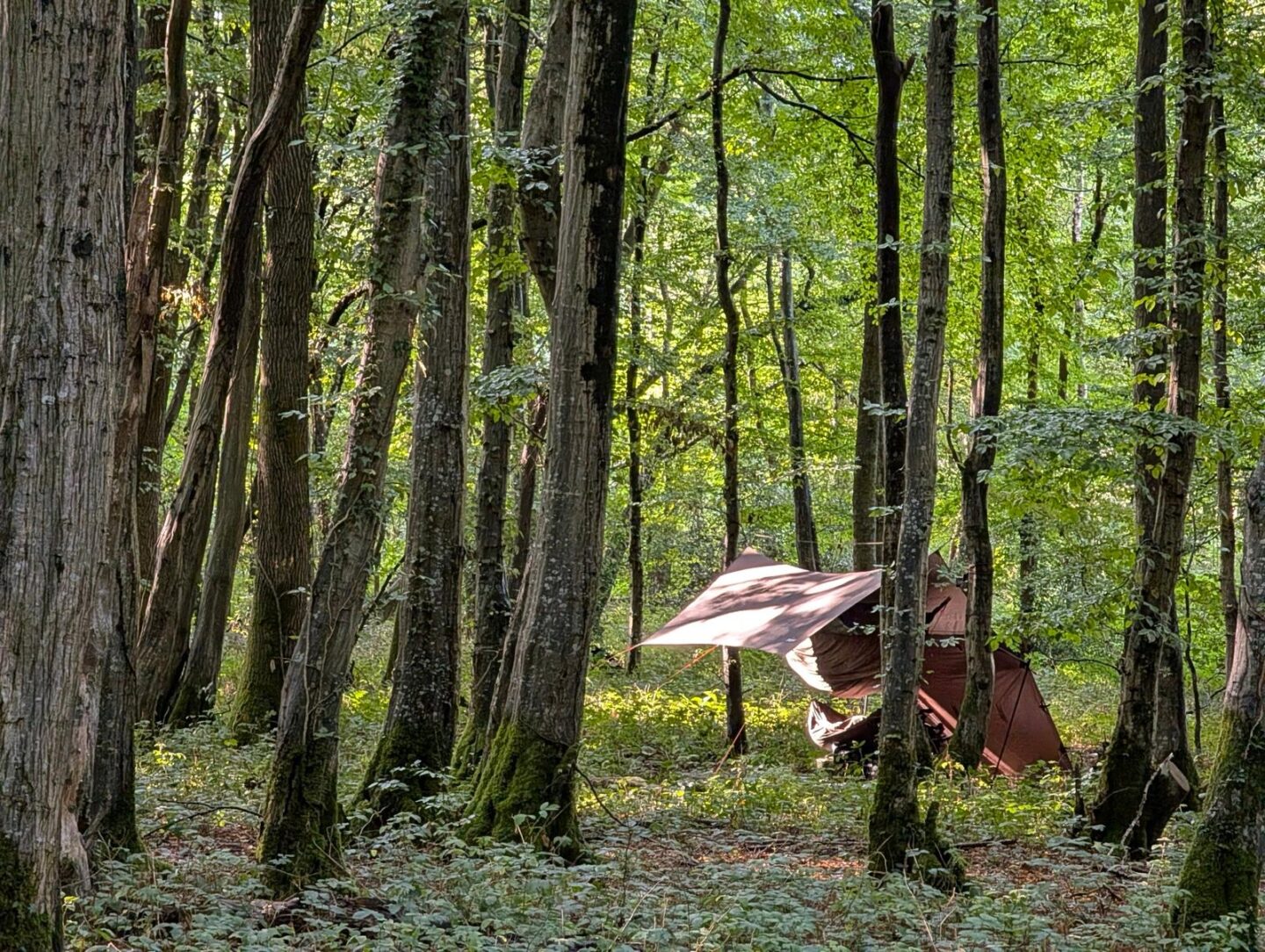 interior-designer-15