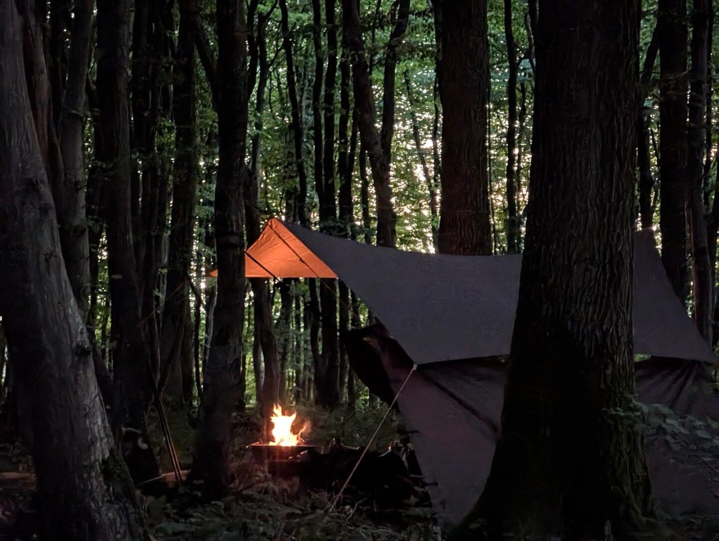 interior-designer-18 overhead dernwood farm
