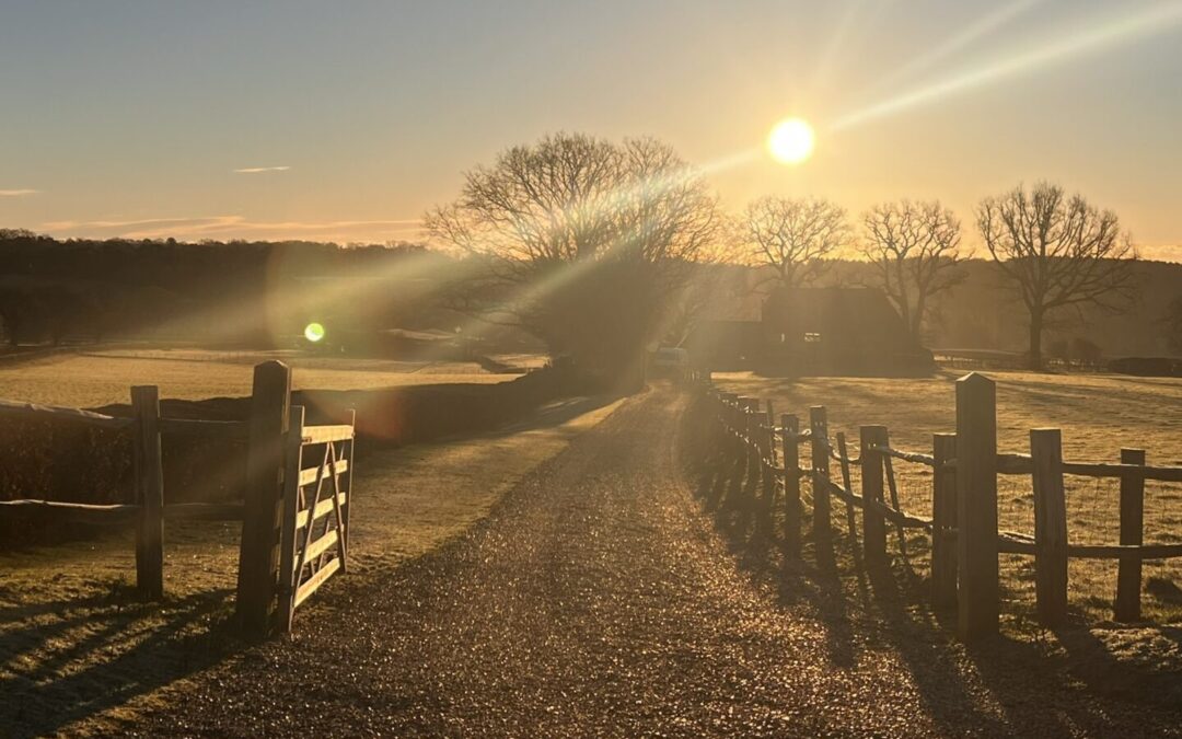 January 2026 Early Bird Offer