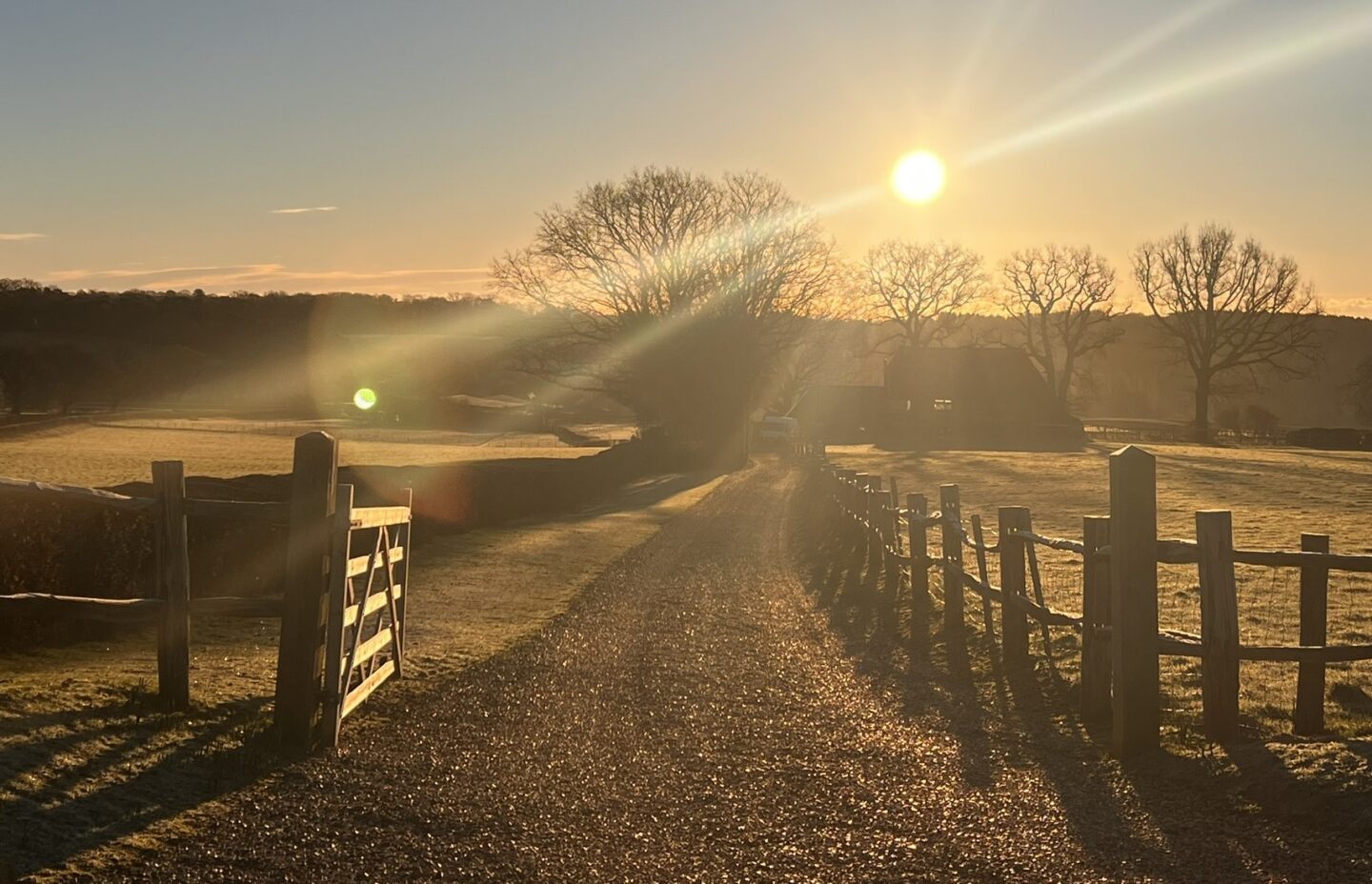 January 2026 Early Bird Offer